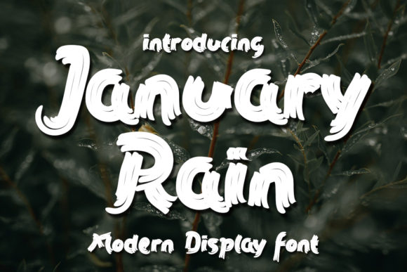 January Rain: A Bold Choice for Web Design