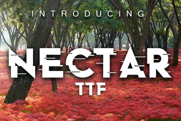 Nectar: A Display Font for Editorial Impact