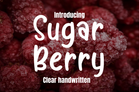 Sugar Berry: A Friendly Font for Branding Projects